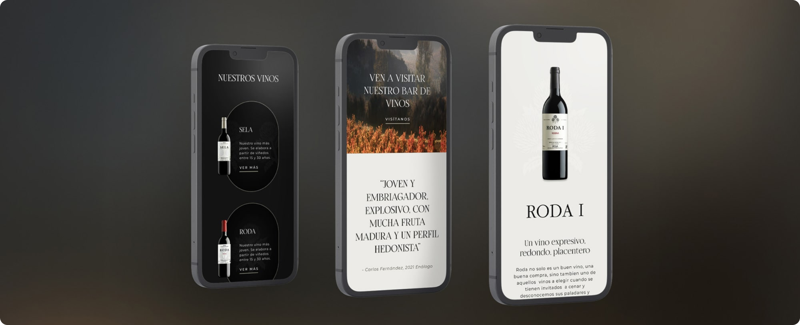 Proyecto Bodegas Roda